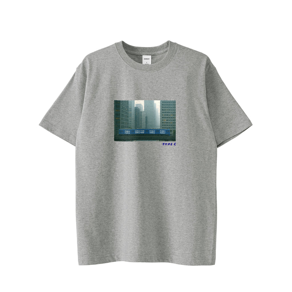 typeC / train gray image