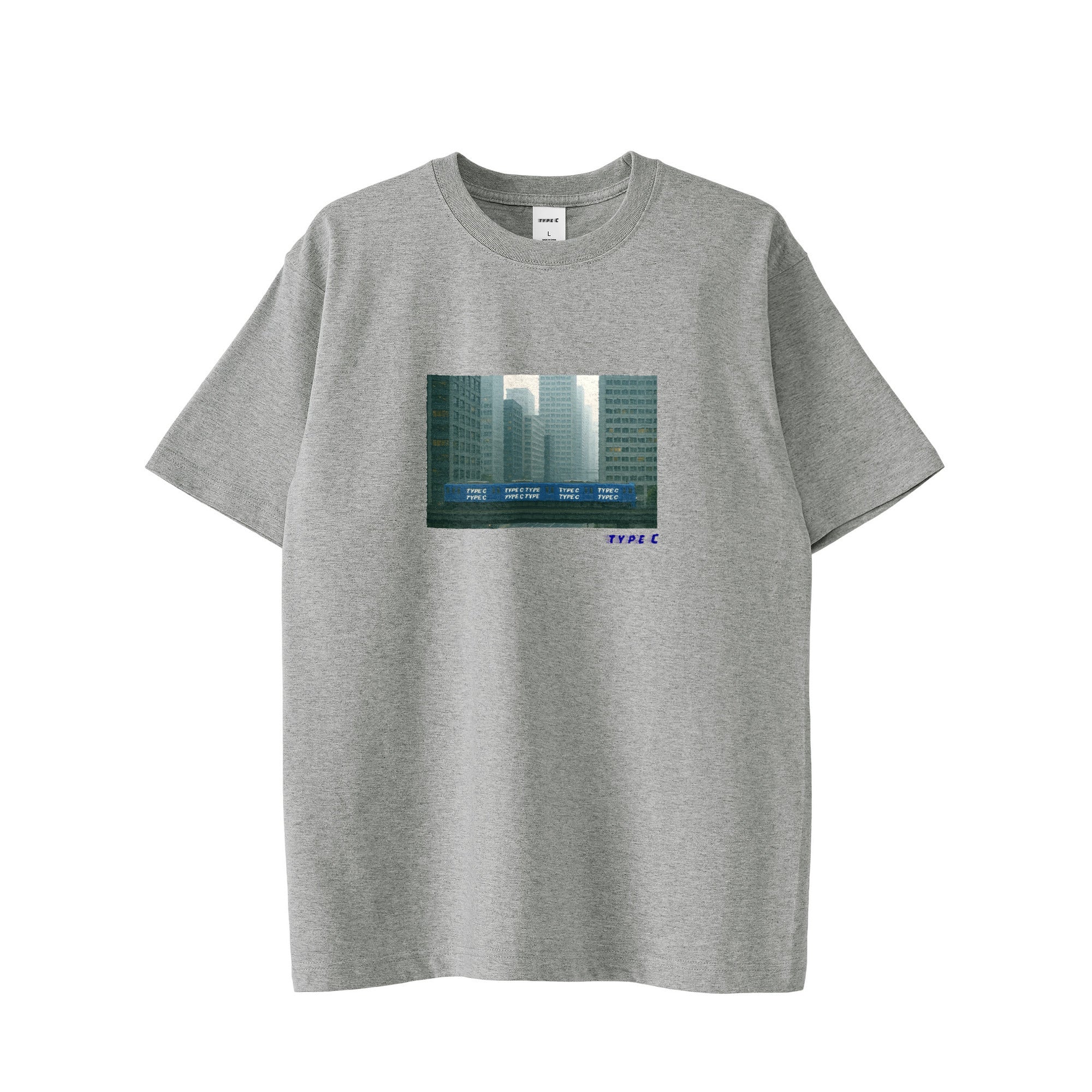 typeC / train gray image